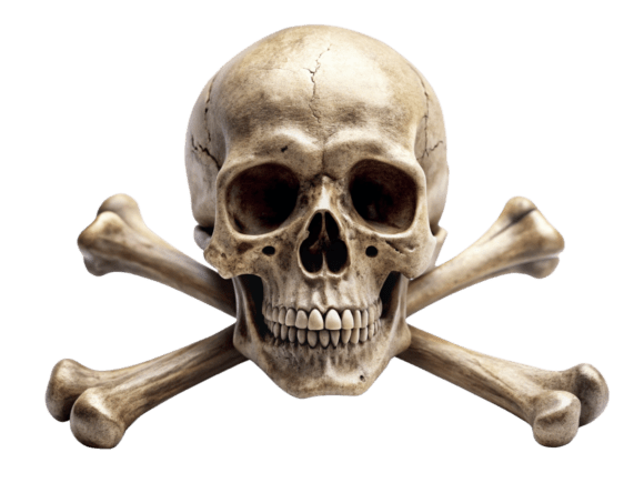 Watercolor Skull and Crossbones Logo PNG